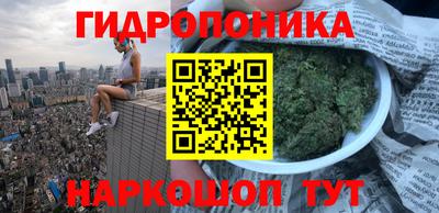 a pvp Будённовск