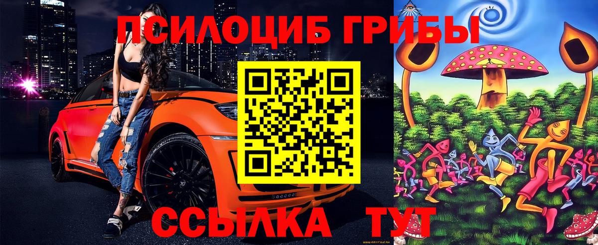 Галлюциногенные грибы Cubensis  Вход с VPN  Тельмана  даркнет сайт  Псилоцибиновые грибы Cubensis 